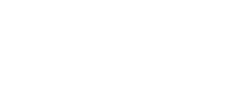 ANA Virtual Group
